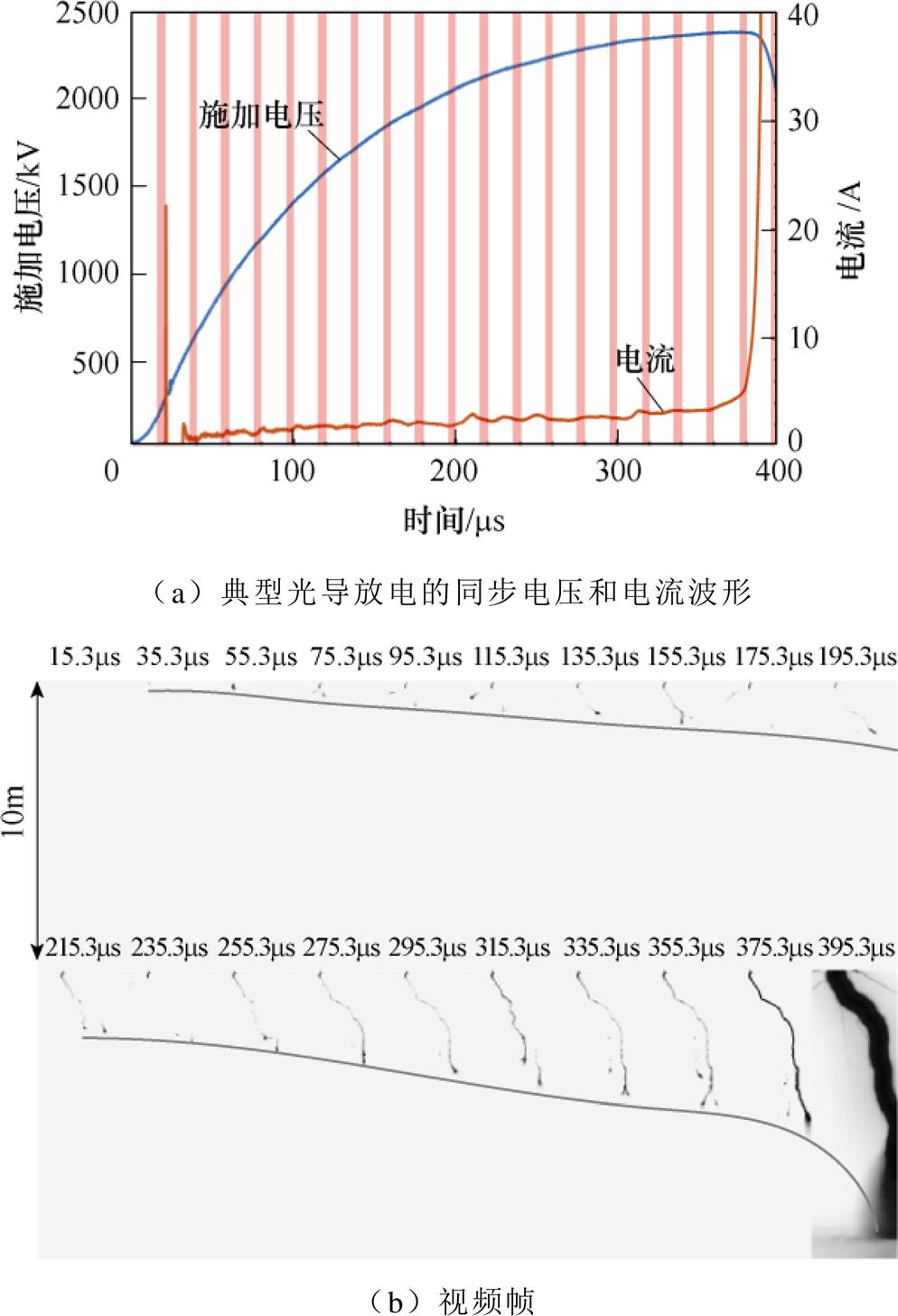 width=217.25,height=317.8