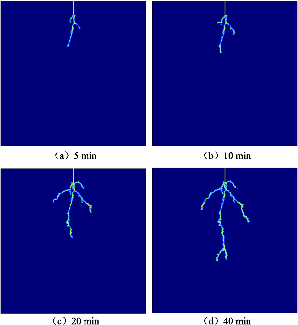 width=227.65,height=248.75
