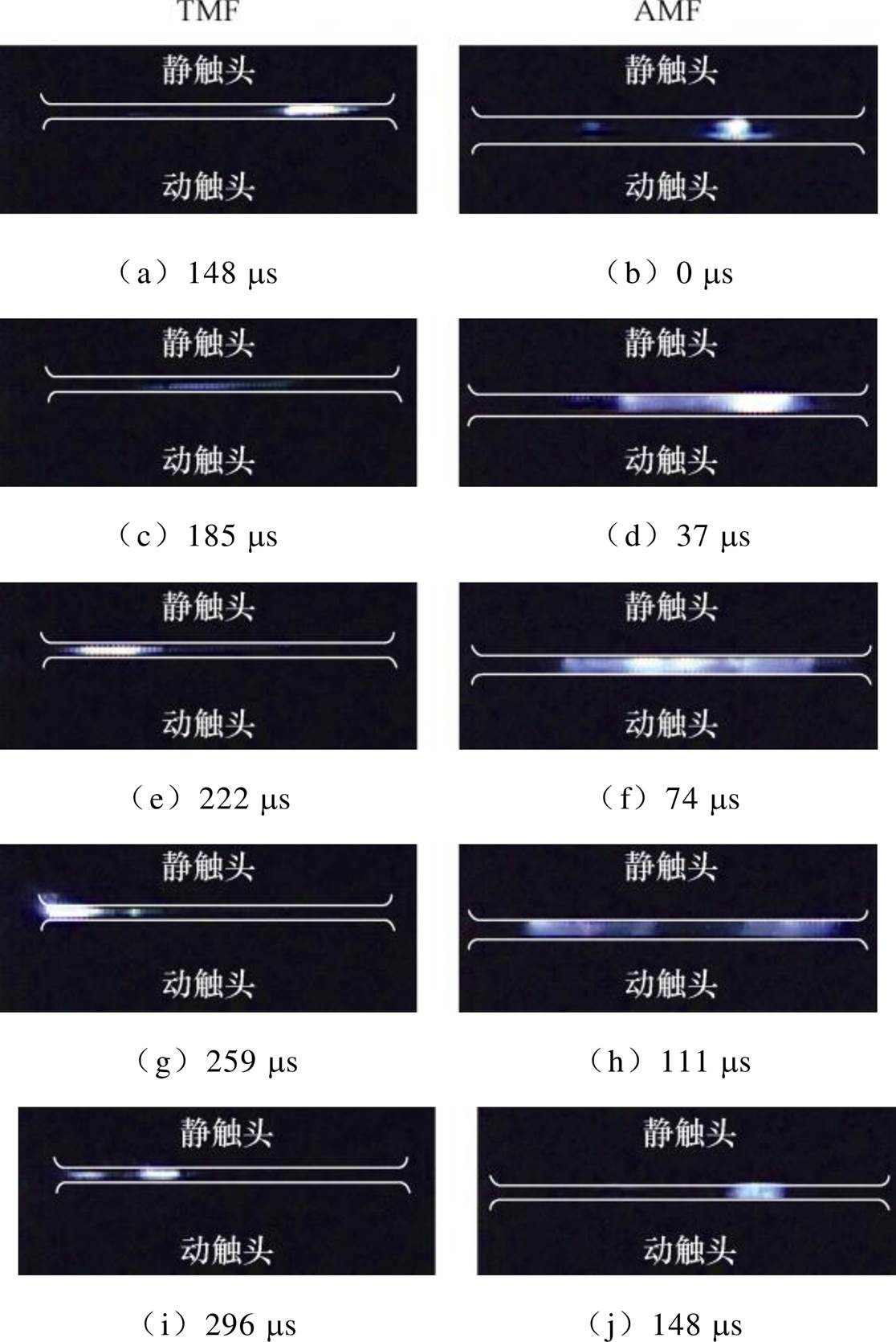 width=243.45,height=364.35