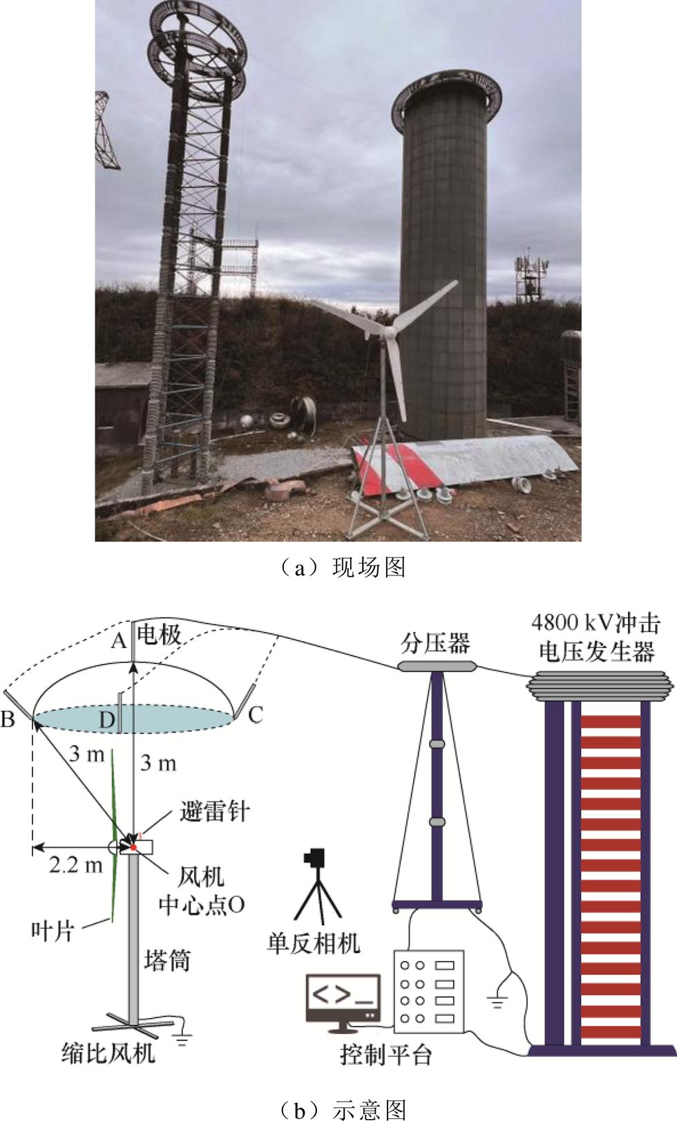 width=213.95,height=353.9