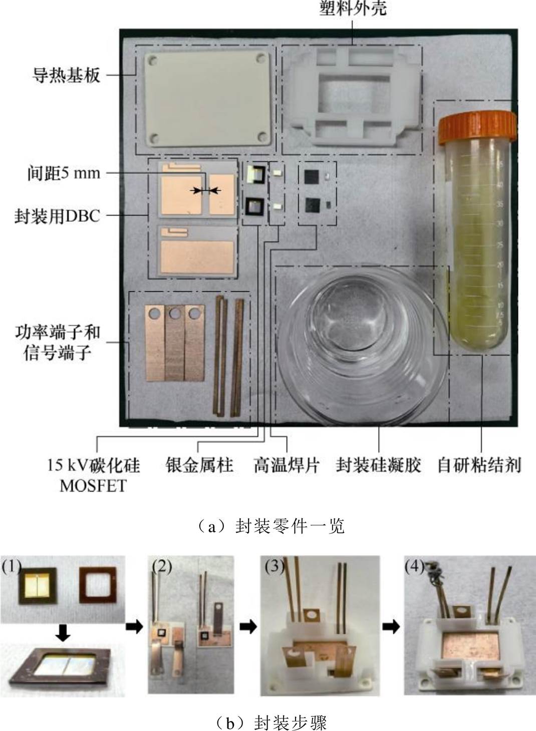 width=233.35,height=318.45