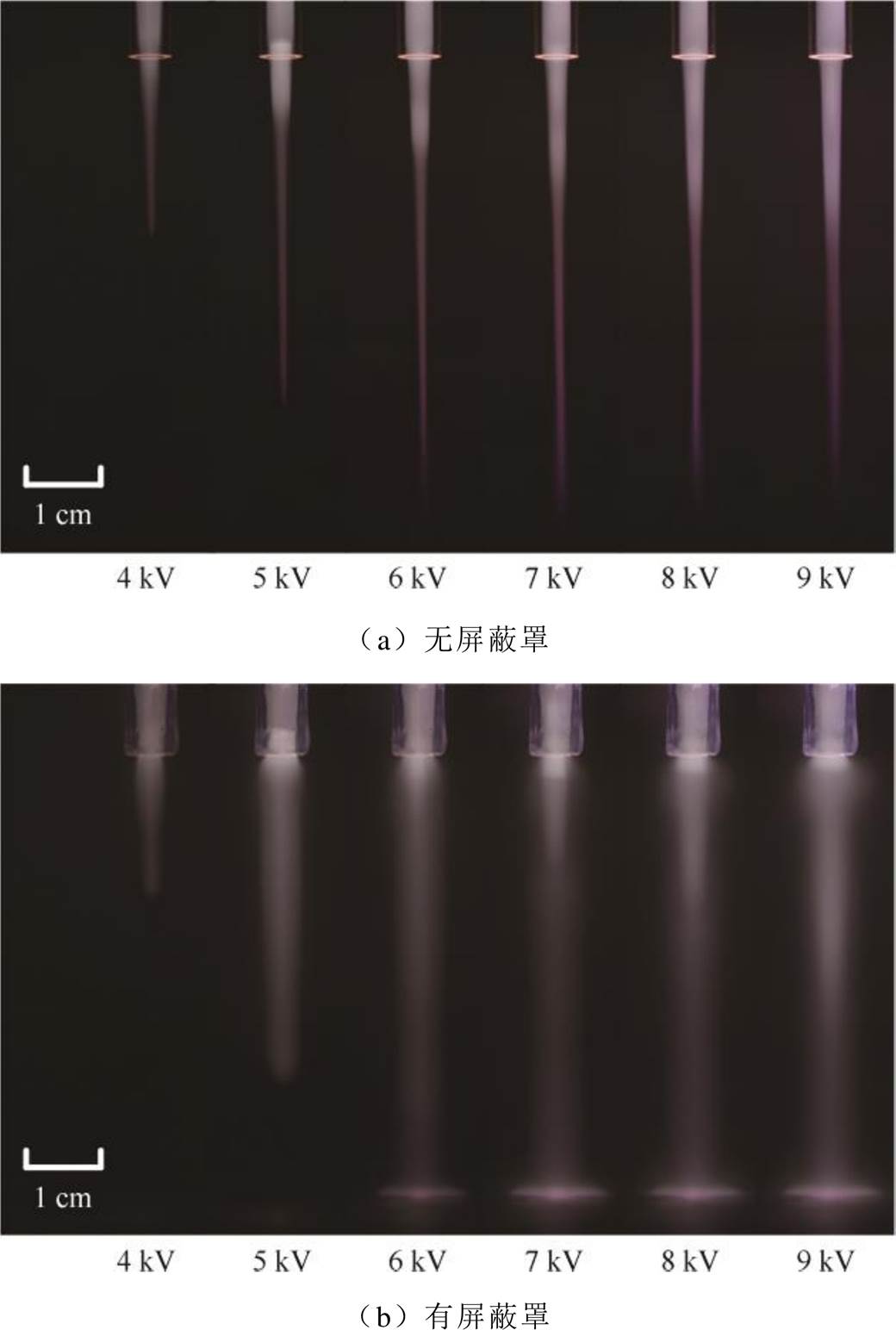 width=226.8,height=337.1