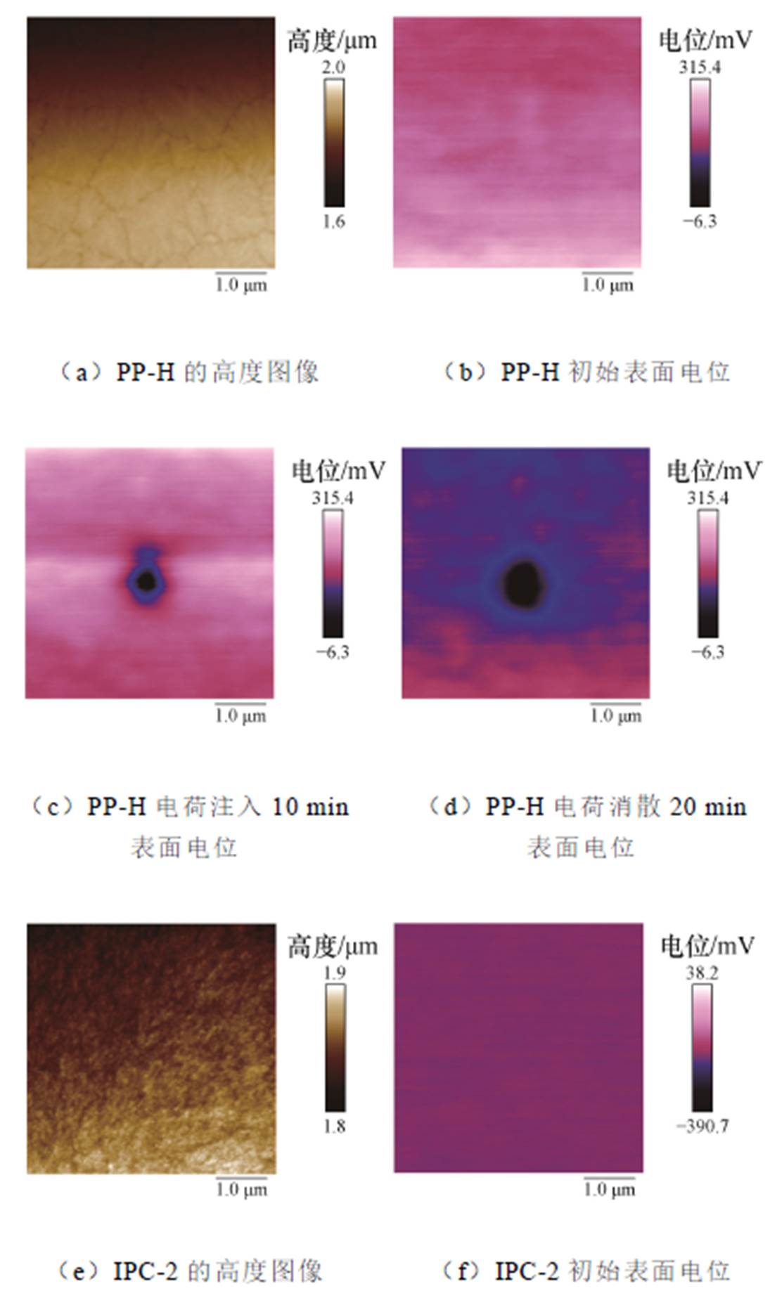 width=238.9,height=405.15