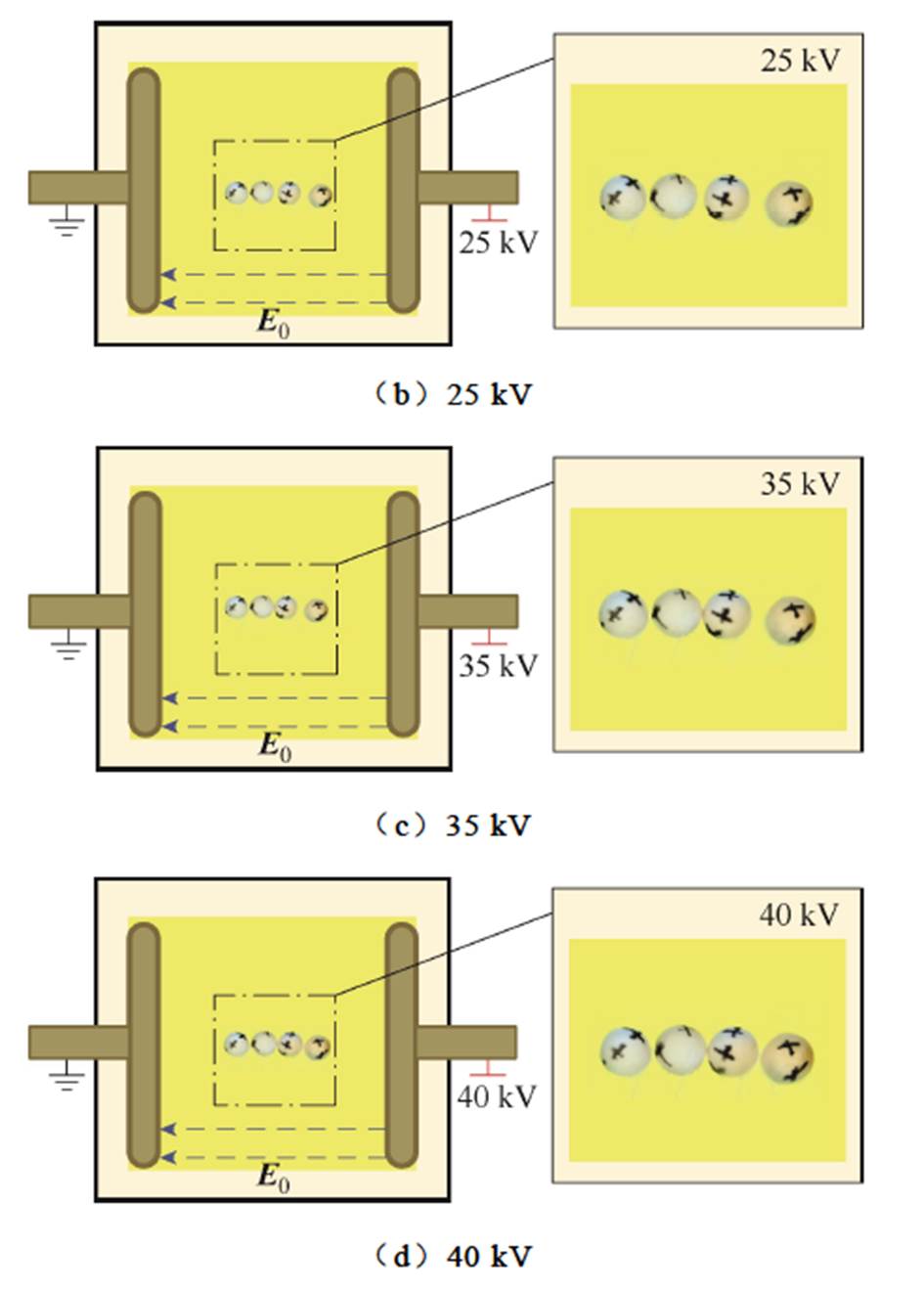 width=206.2,height=288.45