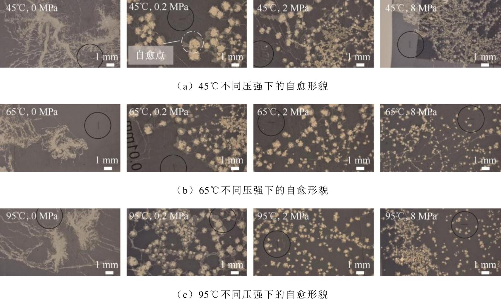 width=373.6,height=223.45