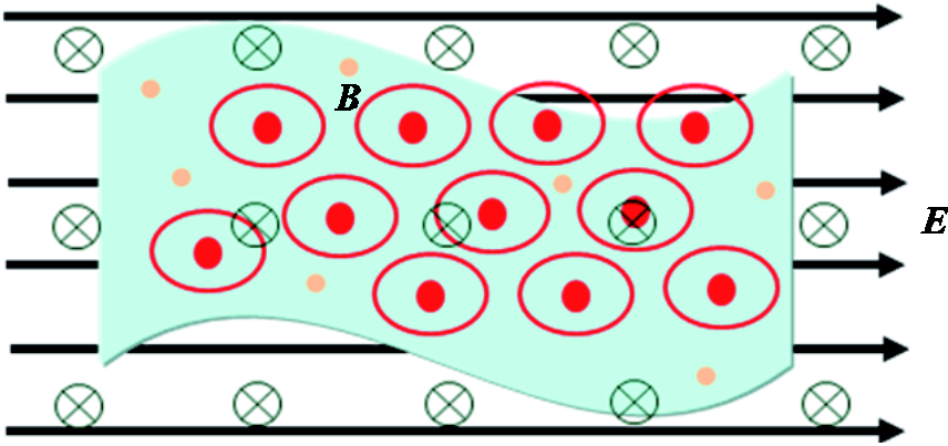 width=186.85,height=87.9