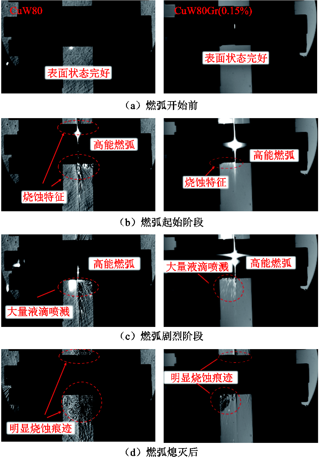 width=225.35,height=324