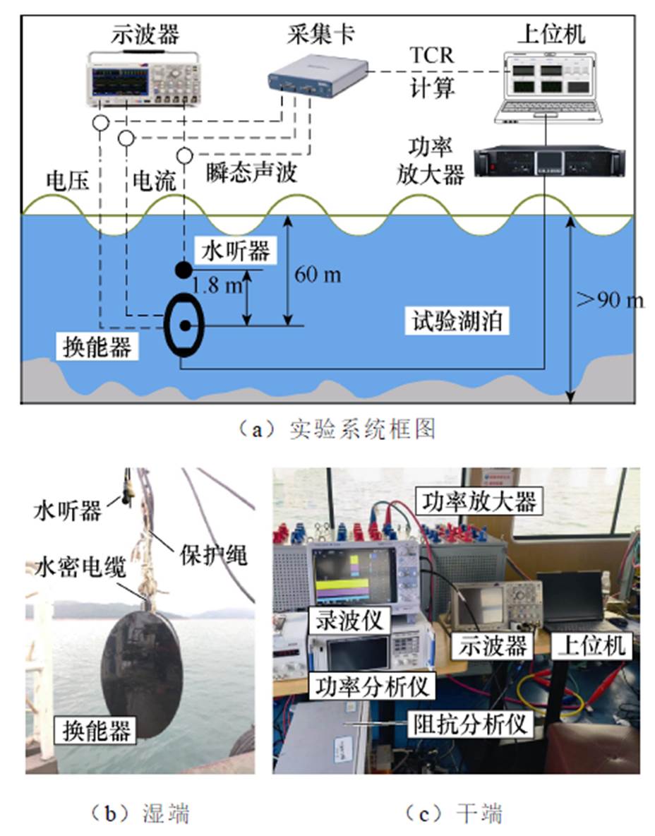 width=202.45,height=258.35