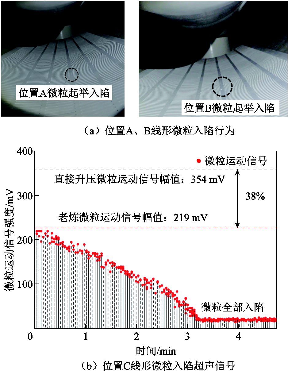 width=204.75,height=264