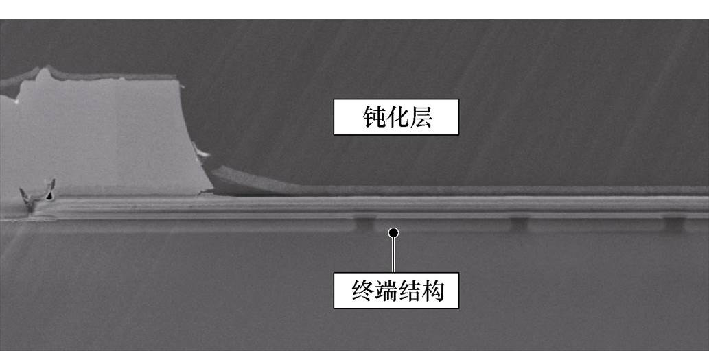 width=225.45,height=111.65