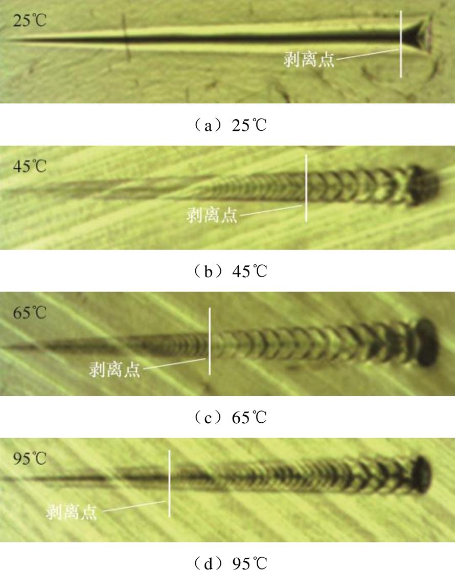 width=194.25,height=243.15