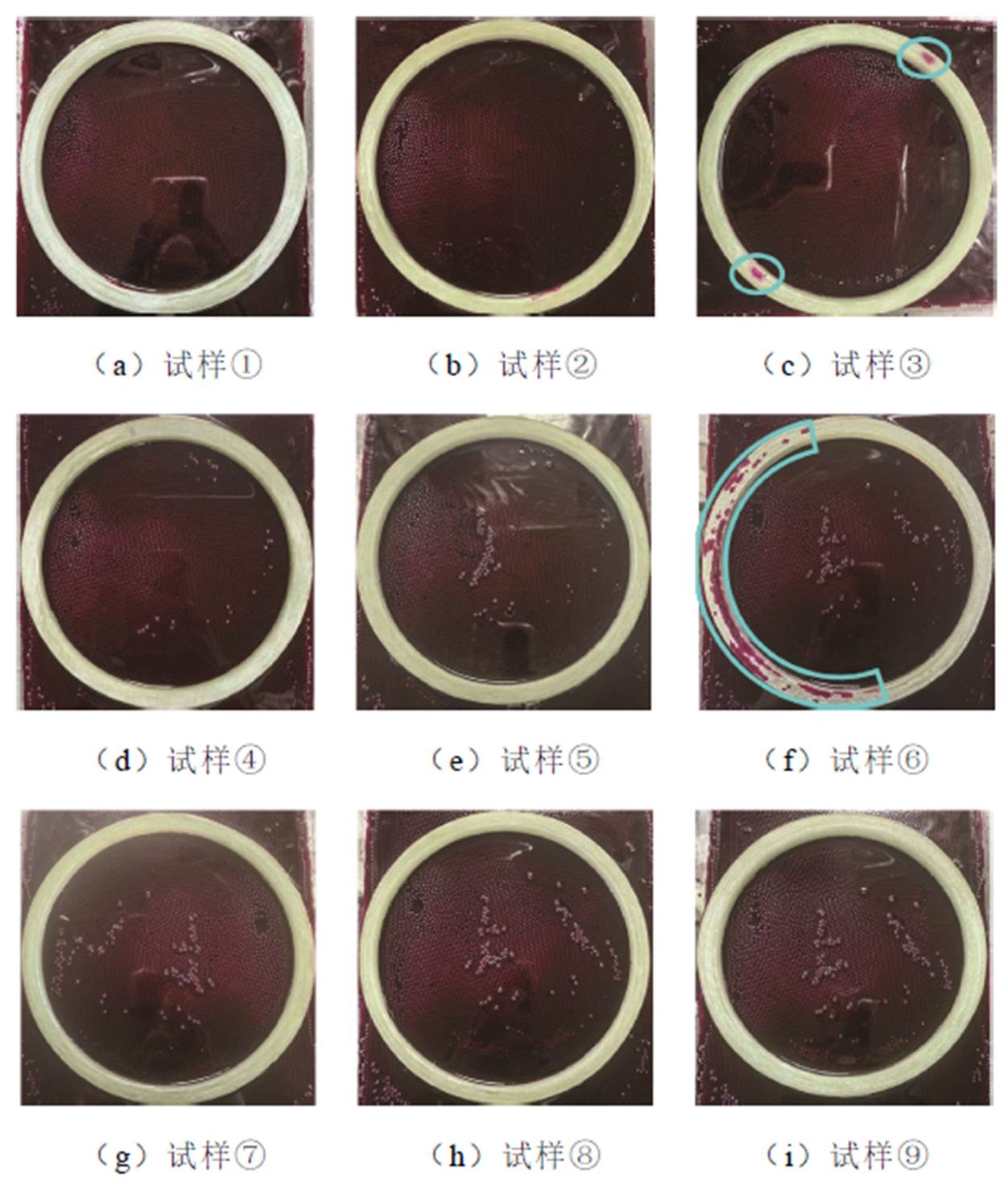 width=273.15,height=322.25