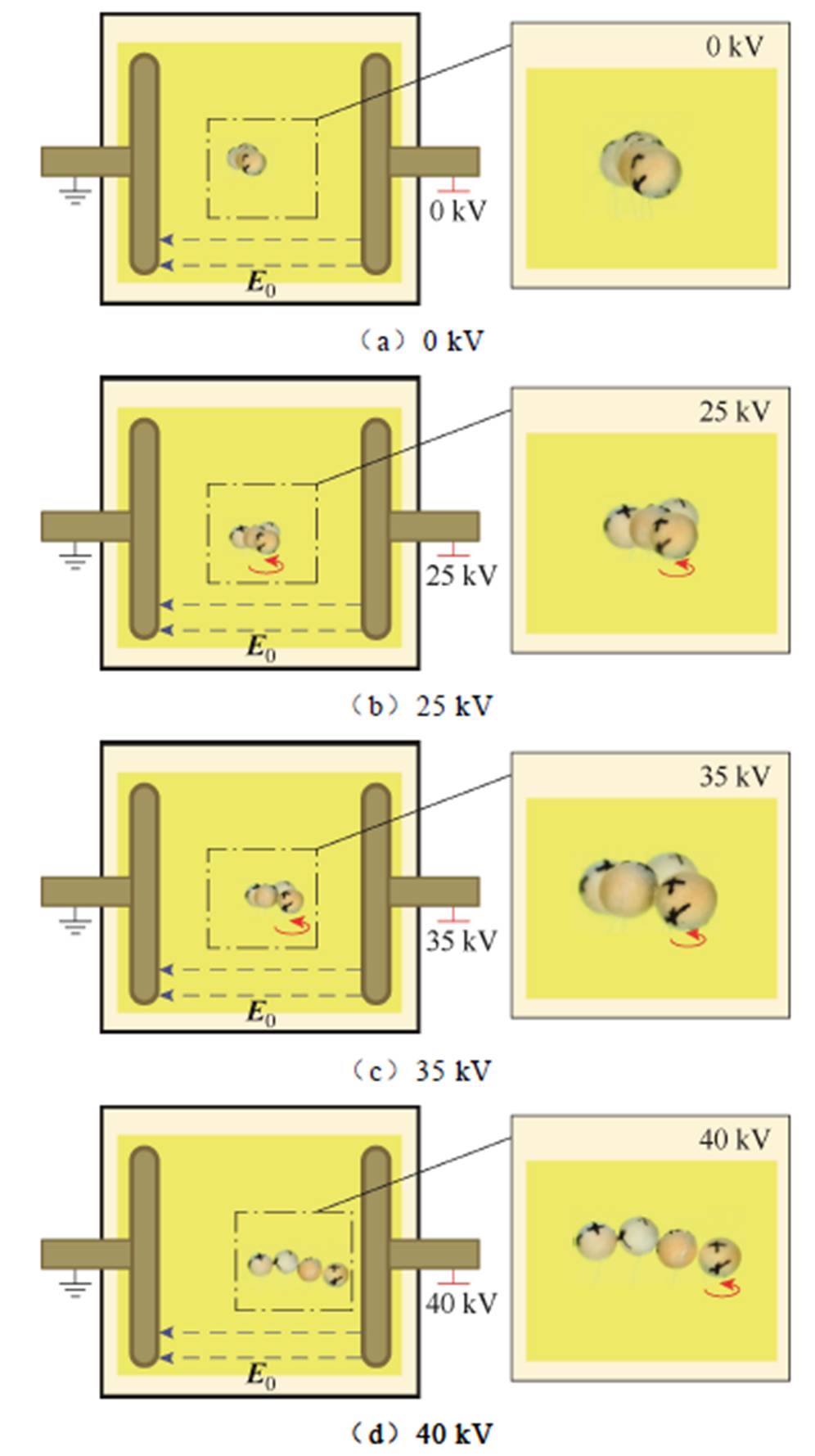 width=217.4,height=388.05