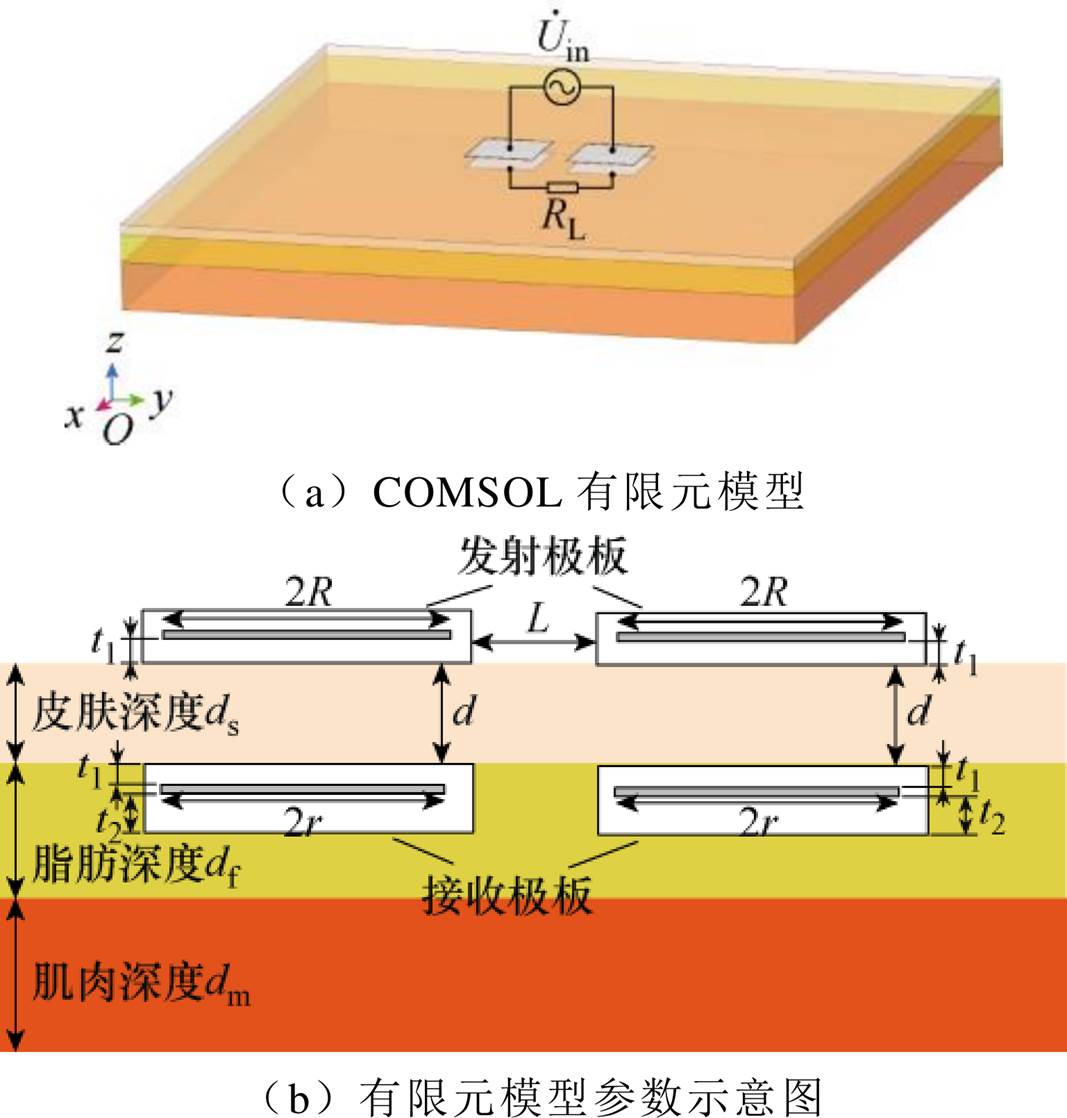 width=232.65,height=243.95