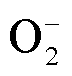 width=15.75,height=16.5