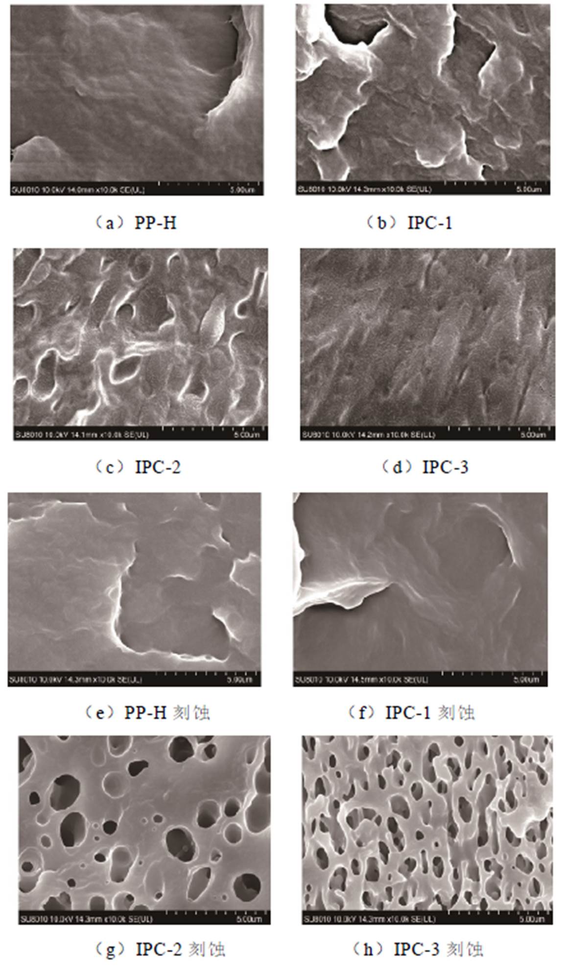 width=252.75,height=430.35