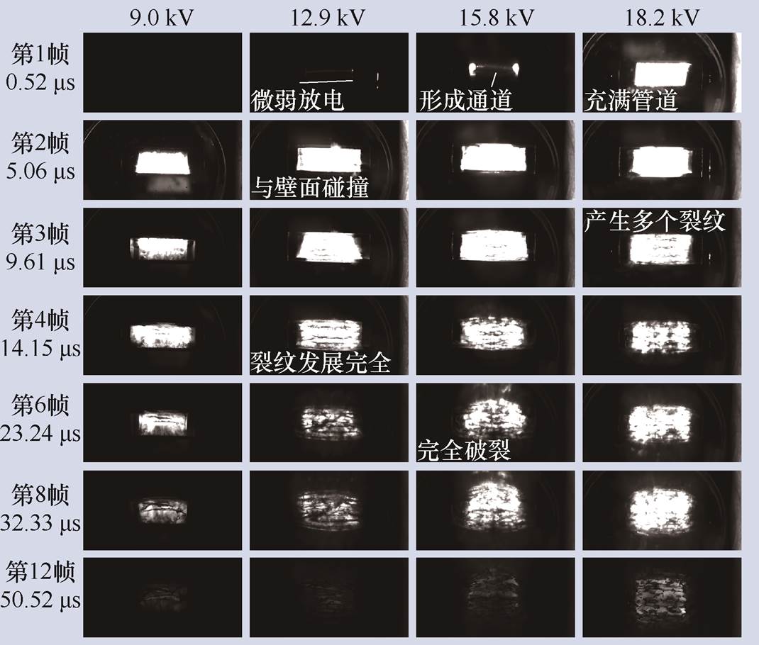 width=233.5,height=198.5