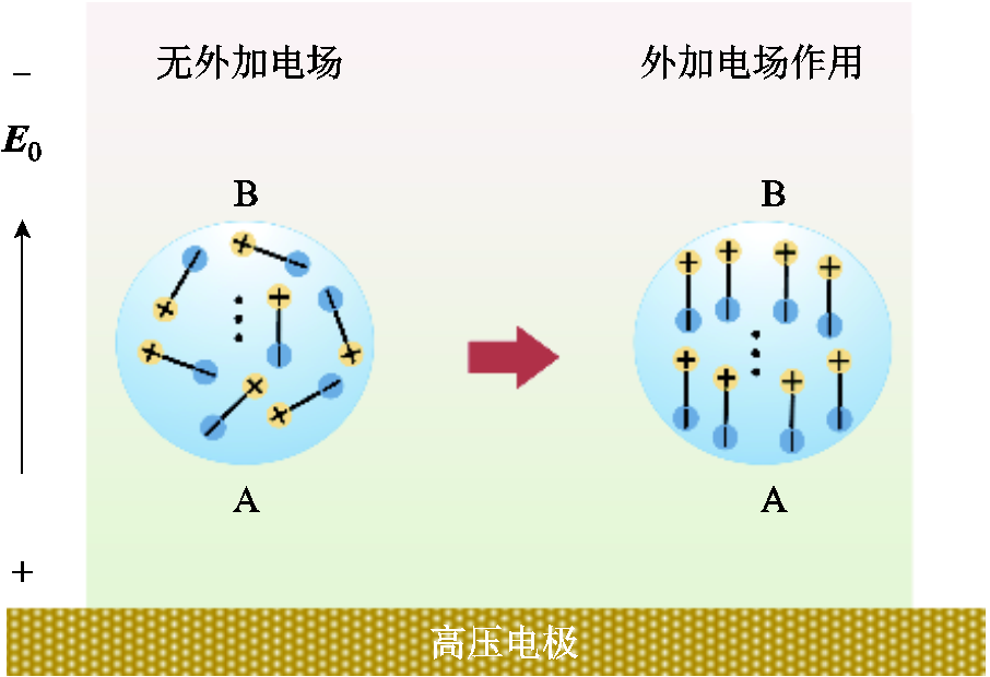 width=197.65,height=135.15
