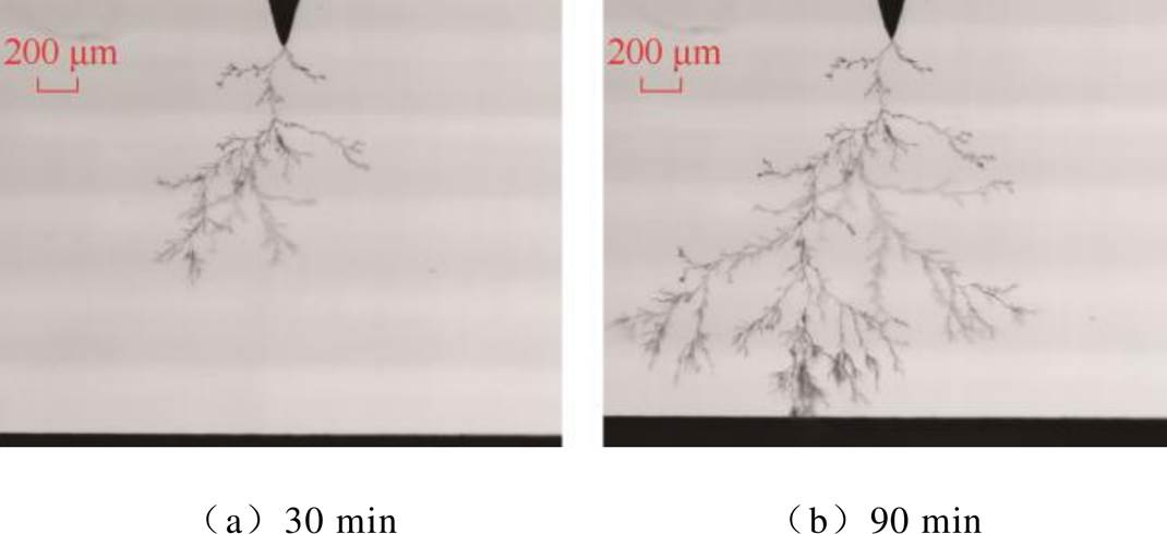 width=233.5,height=106.95