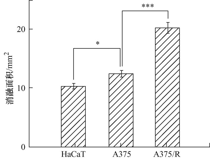 width=184.3,height=140.3