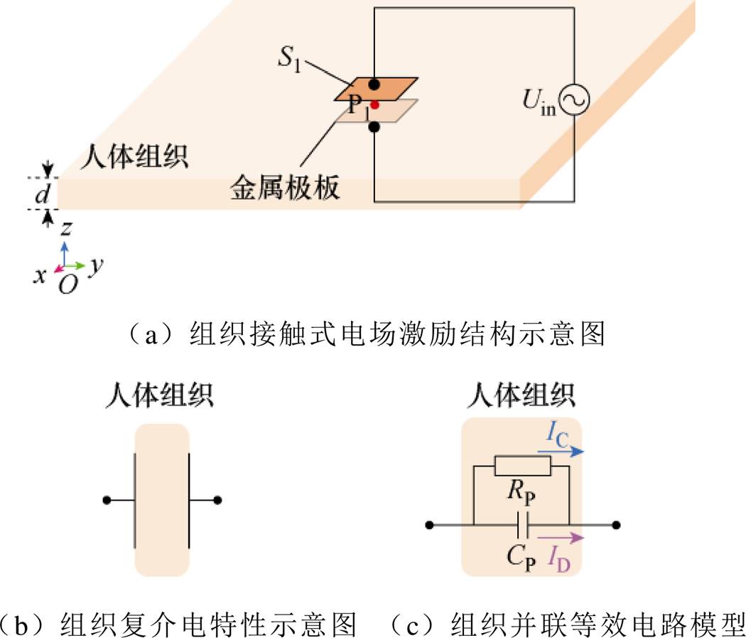width=228.9,height=195.6