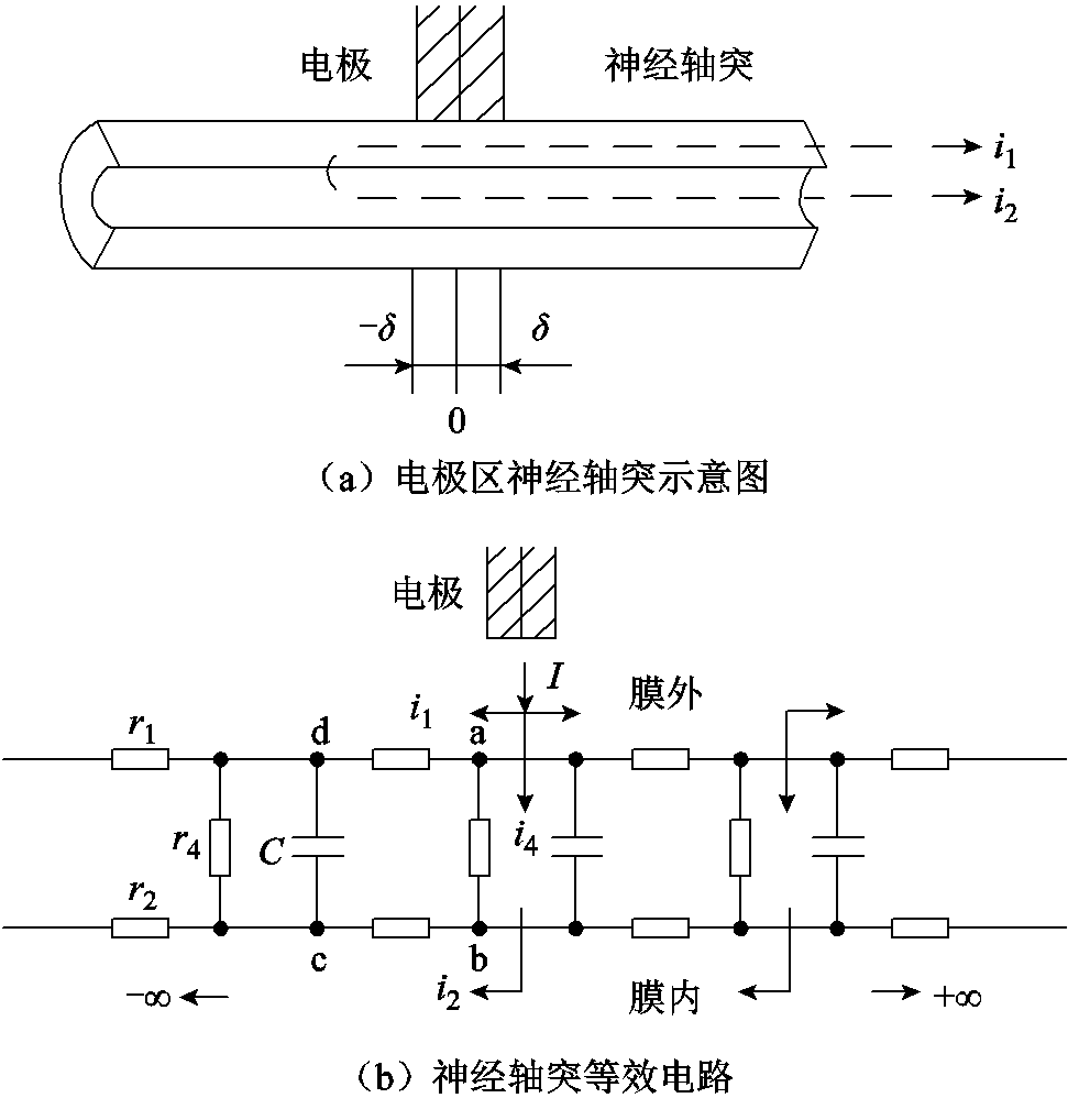 width=211.8,height=217.8