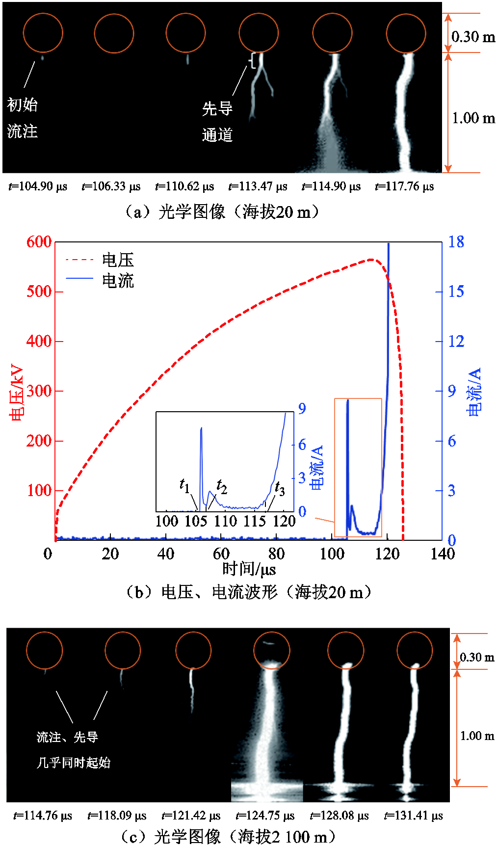 width=221.05,height=376.2